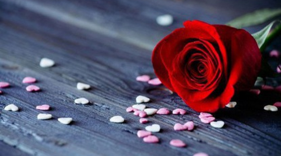 Chủ nhật của bạn (17/6): Bạch Dương hãy bỏ qua nếu có thể