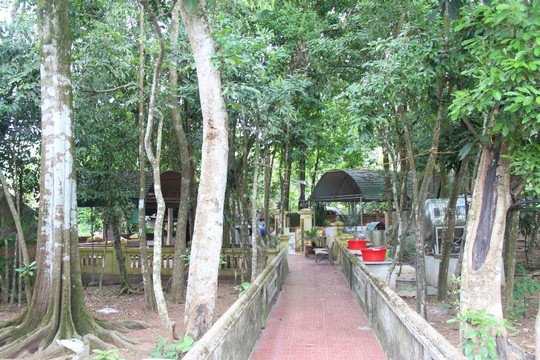 Thực hư về hòn đá bí ẩn được xưng là ngài