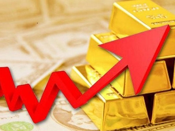 Giá vàng hôm nay 14/9: Bất ngờ tăng vọt Giá vàng hôm nay 14/9: Bất ngờ tăng vọt