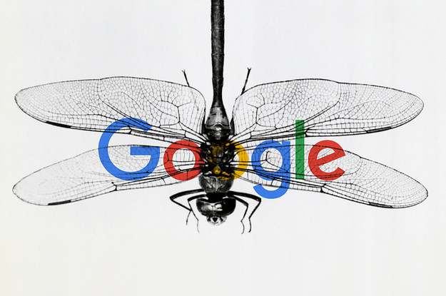 Nhân viên nghỉ việc, tố Google thông đồng với chính quyền TQ