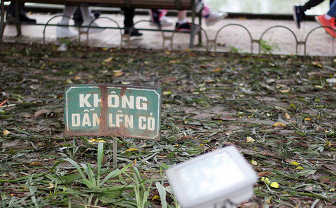 Vườn hoa Hồ Gươm bị san phẳng sau đêm Giao thừa: Thực sự, tôi quá xấu hổ! Vườn hoa Hồ Gươm bị san phẳng sau đêm Giao thừa: Thực sự, tôi quá xấu hổ!