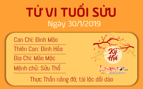 Tử vi thứ 4 ngày 30/1/2019 của 12 con giáp: Tuất có cơ hội kiếm tiền, Dậu bị kẻ thứ 3 chen chân tình cảm