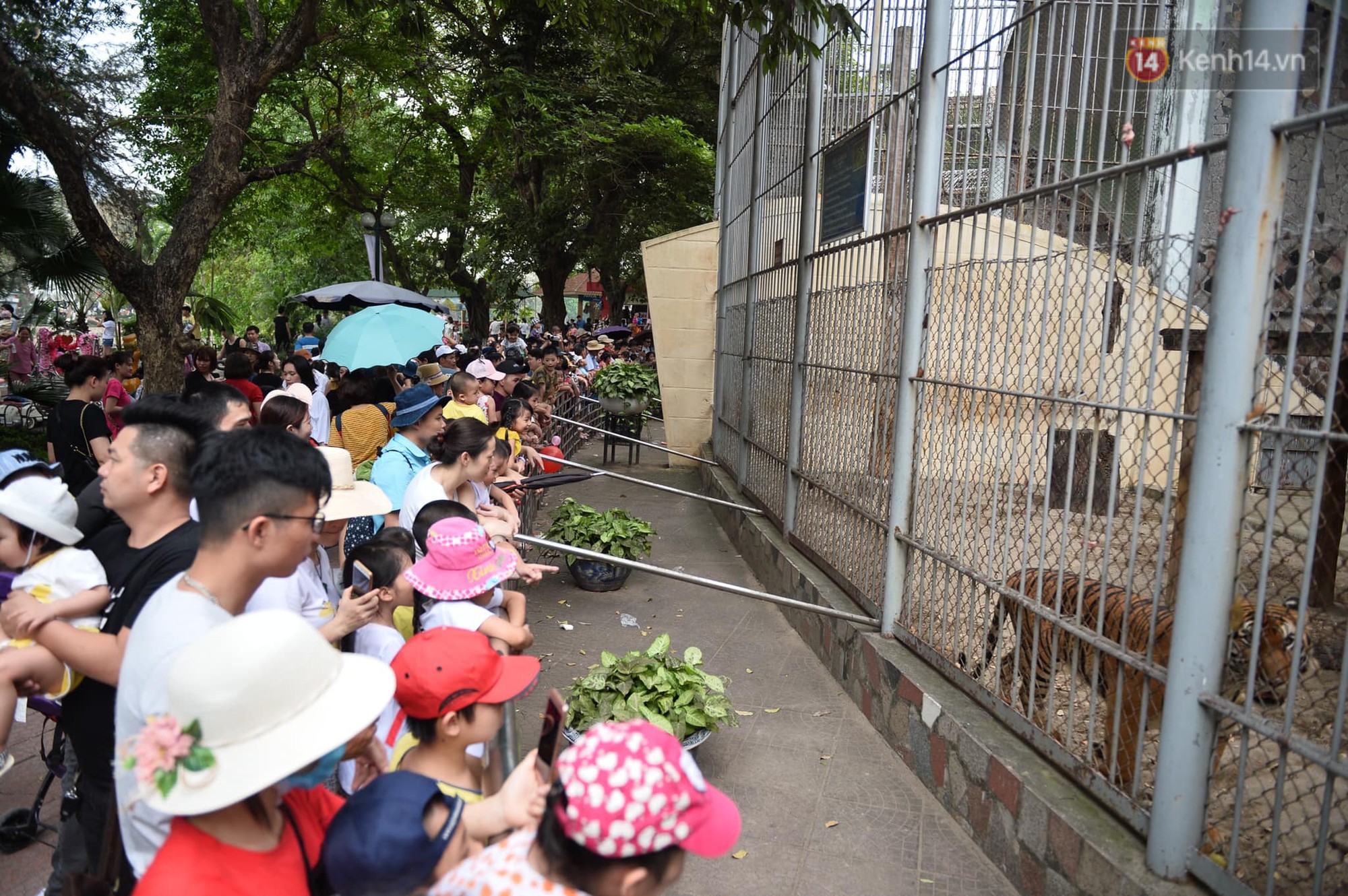 Khu vui chơi, trung tâm thương mại, rạp phim ở Thủ đô đông đúc trong ngày đầu nghỉ lễ Khu vui chơi, trung tâm thương mại, rạp phim ở Thủ đô đông đúc trong ngày đầu nghỉ lễ