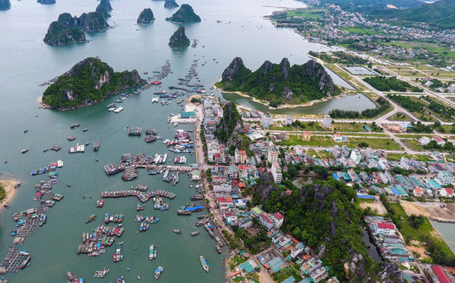 Phó Chủ tịch Vân Đồn bị kiểm tra vì có dấu hiệu vi phạm về đất đai