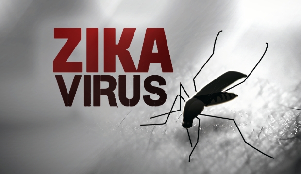zika-virus.png