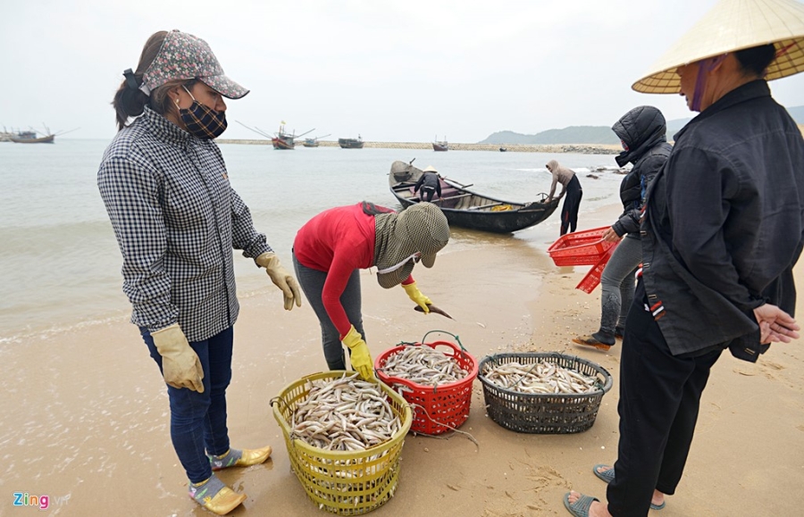 Ngu dan Ha Tinh ra khoi danh ca hinh anh 2