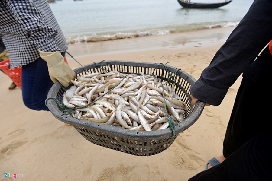 Ngu dan Ha Tinh ra khoi danh ca hinh anh 6