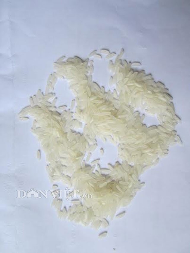 su that ve thong tin gao gia o quang tri hinh anh 2