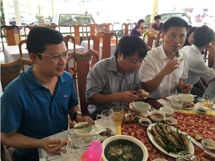 Ham luong kim loai nang trong ca bien Ha Tinh o muc cho phep hinh anh 1