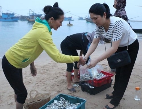 Ham luong kim loai nang trong ca bien Ha Tinh o muc cho phep hinh anh 2