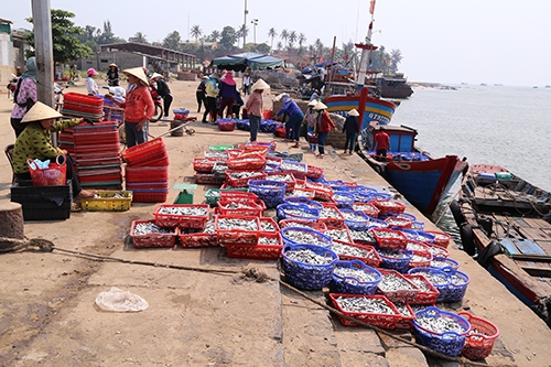 duoc-cap-chung-nhan-ca-bien-quang-tri-van-hiem-nguoi-mua-1