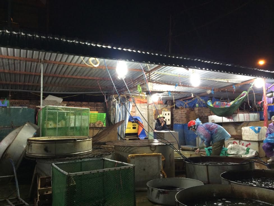 dân buôn cá, nỗi khổ của dân buôn cá, thu nhập 100 triệu/tháng, chợ đầu mối, dân buôn cá, trời không mưa cũng mặc áo mưa