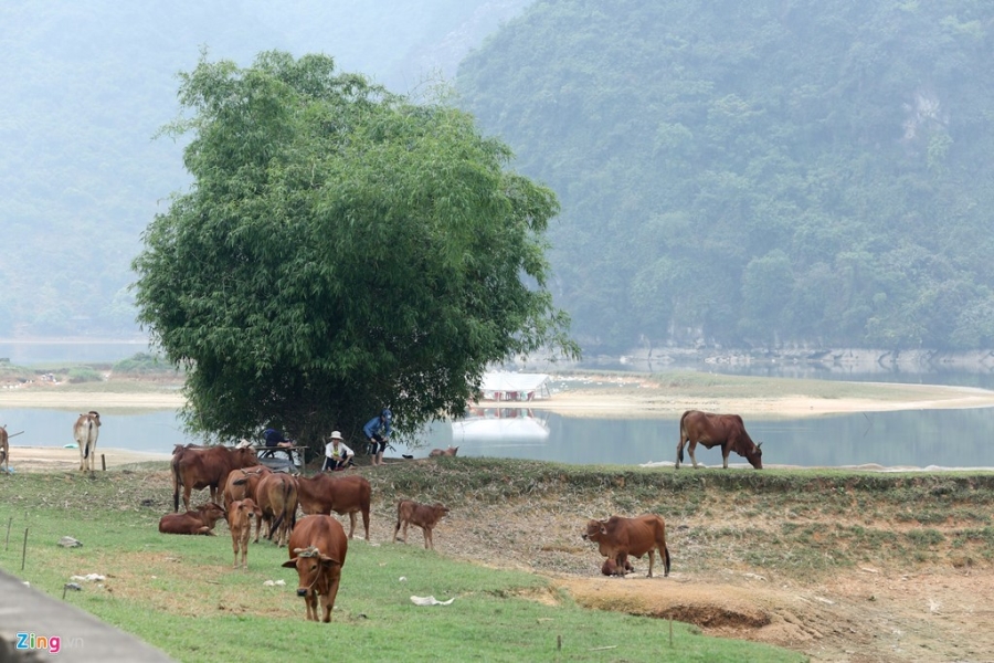 Vinh Ha Long thu nho o ngoai thanh Ha Noi hinh anh 4