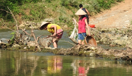 ca-chet-hang-loat-o-thuong-nguon-song-buoi-2