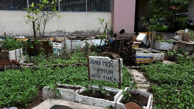 rau sạch, an toàn thực phẩm, rau bẩn