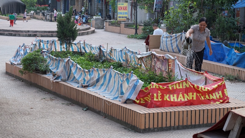 rau sạch, an toàn thực phẩm, rau bẩn