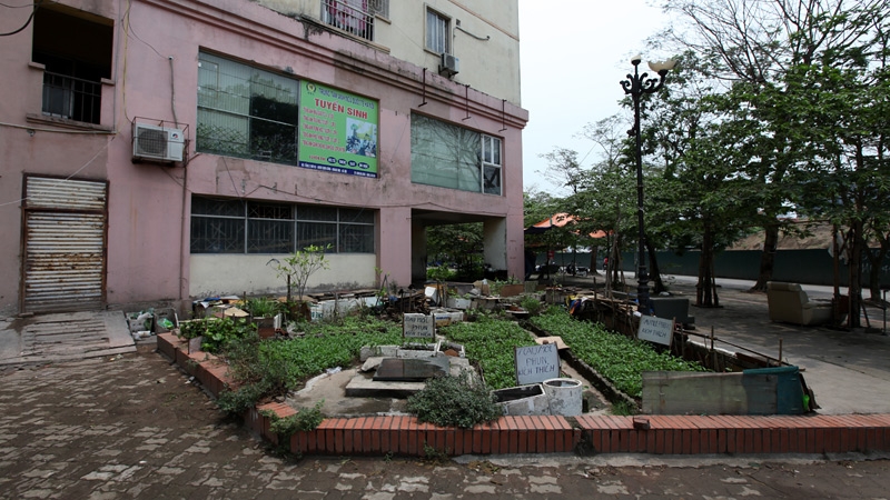 rau sạch, an toàn thực phẩm, rau bẩn