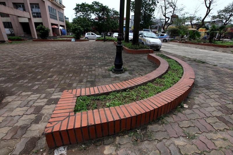 rau sạch, an toàn thực phẩm, rau bẩn