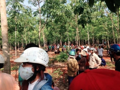 Kinh hoàng xác chết nhiều vết thương được phát hiện ở lô cao su - Ảnh 2