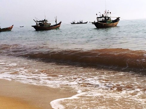 Nước biển biến thành màu đỏ tại Quảng Bình do thủy triều đỏ gây ra? - ảnh 5