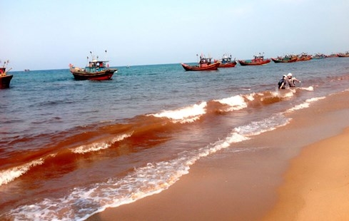 Nước biển biến thành màu đỏ tại Quảng Bình do thủy triều đỏ gây ra? - ảnh 11