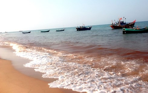 Nước biển biến thành màu đỏ tại Quảng Bình do thủy triều đỏ gây ra? - ảnh 12