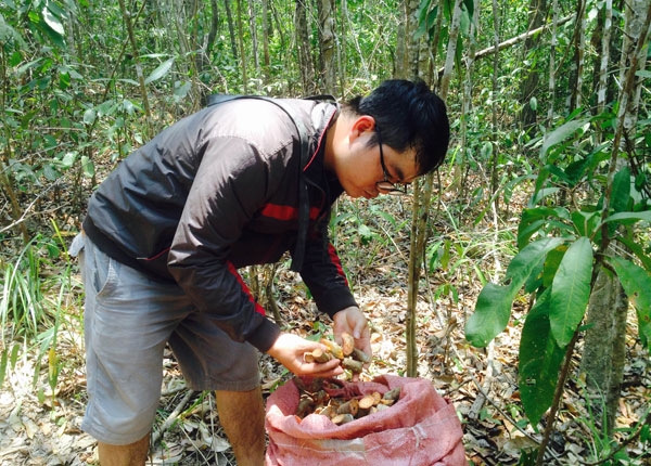 ro tinh trang lung suc cay mau cho, cu li ban sang trung quoc hinh anh 1