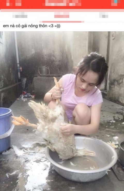 Dân mạng truy tìm 