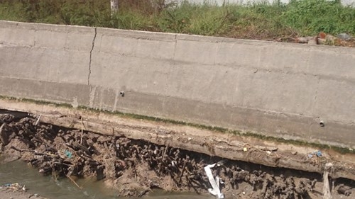 Mưa nhỏ cuốn phăng đê bê tông tiền tỷ, lộ cốt làm bằng... cây - ảnh 3