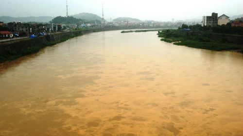 nhung-cau-hoi-lon-trong-du-an-ty-do-doc-song-hong