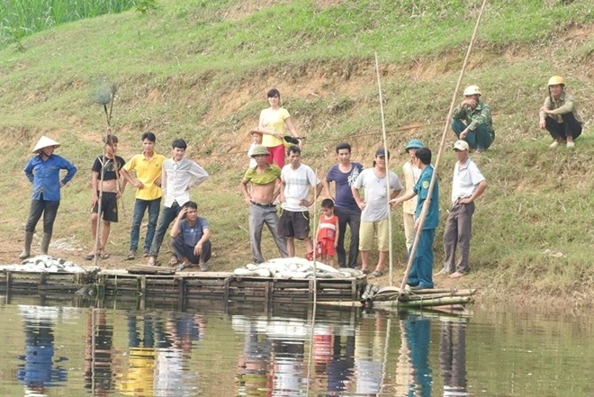 Hinh anh ca chet trang song Buoi, nguoi nuoi mat tien ty hinh anh 7