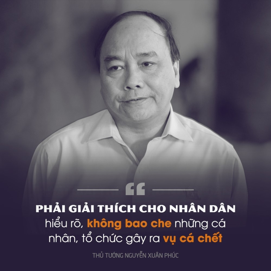 Phat ngon an tuong cua Thu tuong Nguyen Xuan Phuc hinh anh 8