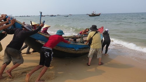 Thấy gì dưới đáy biển sau thảm họa cá chết - ảnh 1