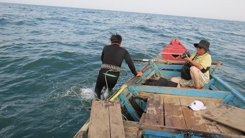 Thấy gì dưới đáy biển sau thảm họa cá chết - ảnh 2