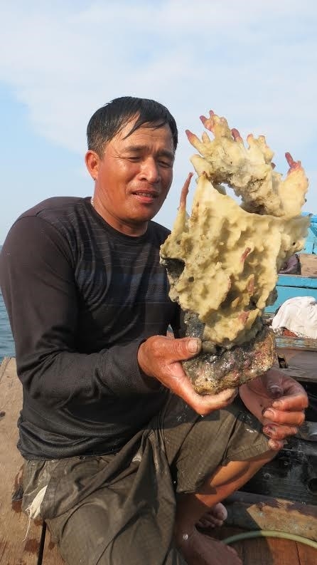 Thấy gì dưới đáy biển sau thảm họa cá chết - ảnh 4