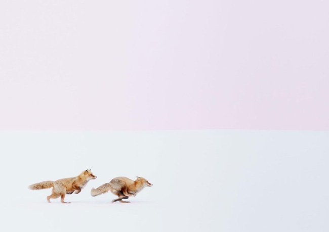 Những bức ảnh du lịch đẹp ngỡ ngàng trong cuộc thi ảnh National Geographic 2016 - Ảnh 7.