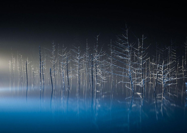 Những bức ảnh du lịch đẹp ngỡ ngàng trong cuộc thi ảnh National Geographic 2016 - Ảnh 14.