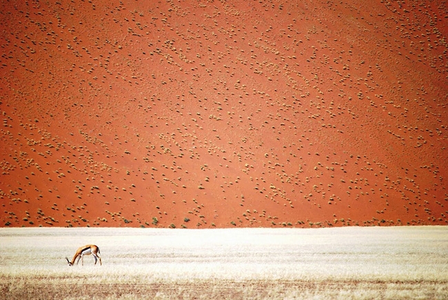 Những bức ảnh du lịch đẹp ngỡ ngàng trong cuộc thi ảnh National Geographic 2016 - Ảnh 18.