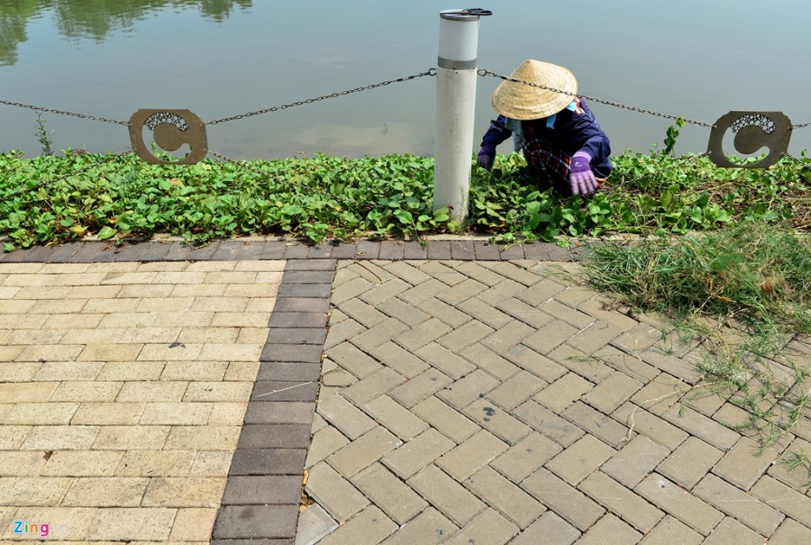 Nen he pho di bo Phu My Hung van ben dep sau 10 nam hinh anh 9