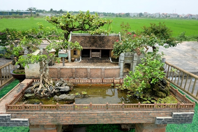 Nhà 2 mét vuông có sân vườn, ao bèo gây ngỡ ngàng Nhà 2 mét vuông có sân vườn, ao bèo gây ngỡ ngàng