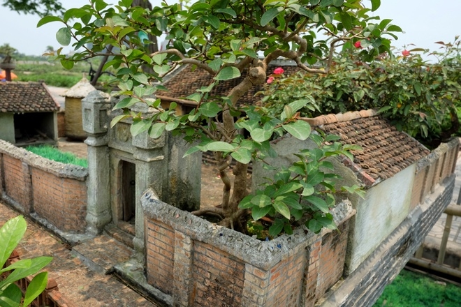 Nhà 2 mét vuông có sân vườn, ao bèo gây ngỡ ngàng Nhà 2 mét vuông có sân vườn, ao bèo gây ngỡ ngàng