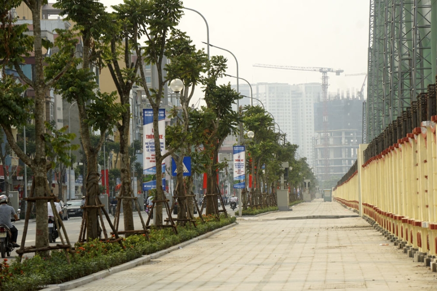  Vỉa hè rộng thoáng kết hợp trồng nhiều cây xanh. 