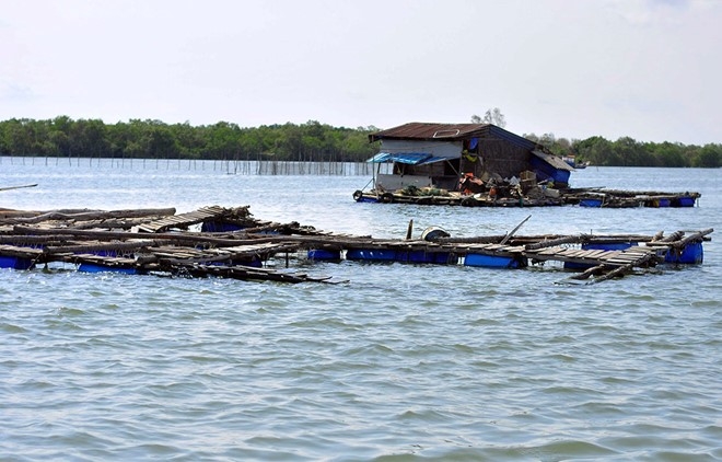 Ngu dan bi siet no vi ca chet hang loat hinh anh 1