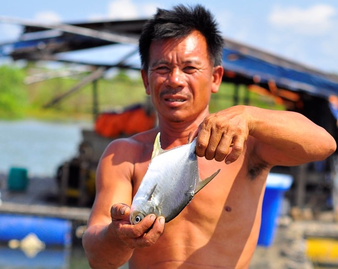 Ngu dan bi siet no vi ca chet hang loat hinh anh 2