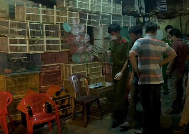 Khách đâm chết chủ tiệm chim ở Sài Gòn