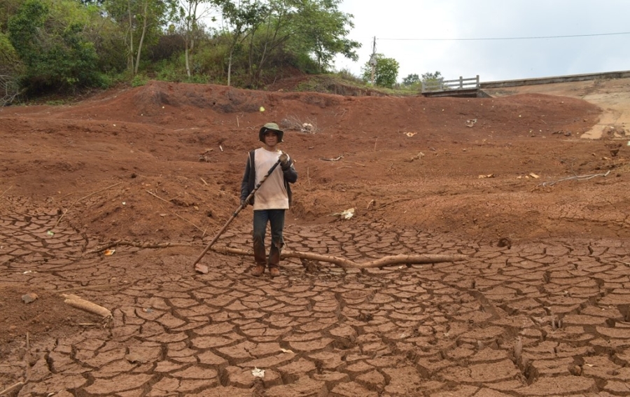 200 ho o Dak Lak tro day, trau bo thieu nuoc uong hinh anh 3