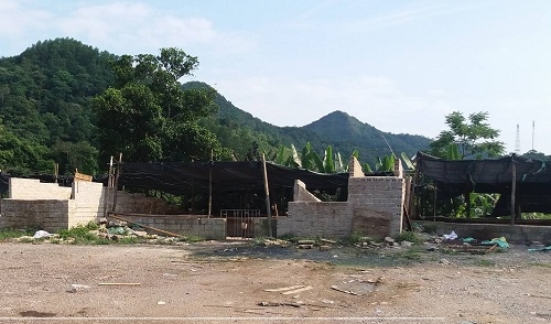 Lạng Sơn vắng bóng xe chở lợn xuất sang Trung Quốc