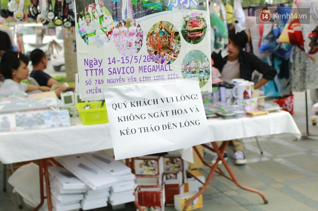 Lễ hội hoa tử đằng ở Hà Nội: Nỗi thất vọng khi thực tế khác xa hình ảnh quảng cáo - Ảnh 9.