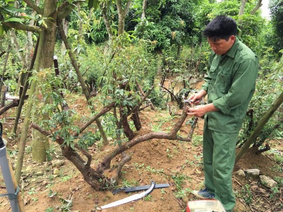 tin nhap 20160516081149