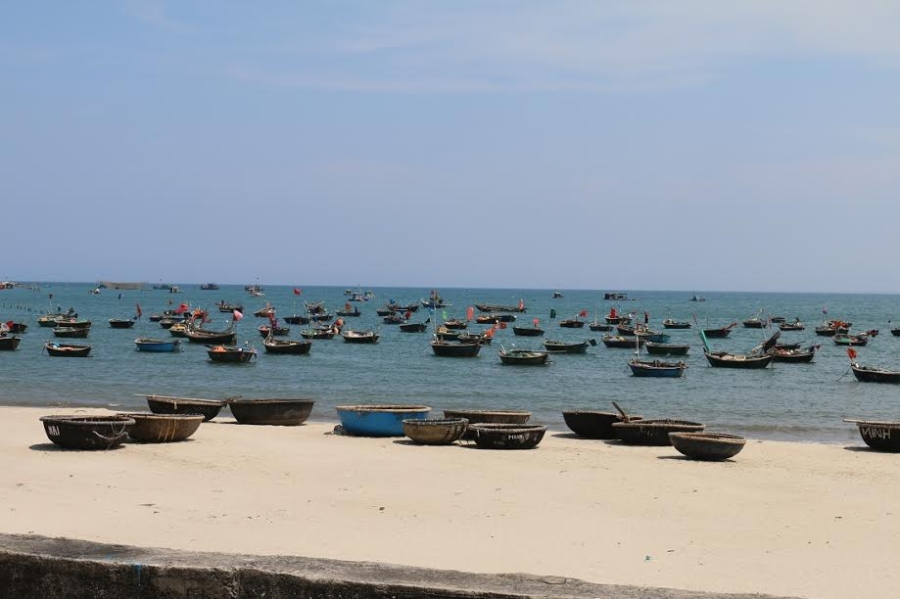 thong tin ga chet do an ca bien o da nang: 7 con ga dang duoc theo doi hinh anh 1